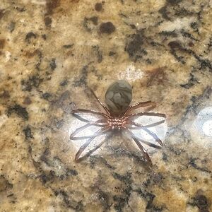 Decorative Gobe Agate and Rose Gold Spider